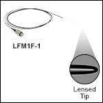 Multimode Patch Cables with Lensed Tips