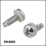 Pilot Point Pan Head Screws