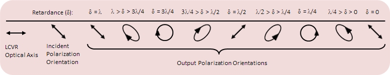 Polarization Control