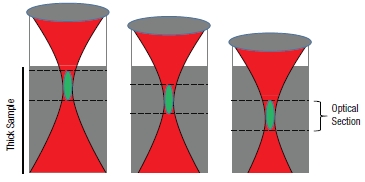 Optical Sectioning in Multiphoton Microscopy