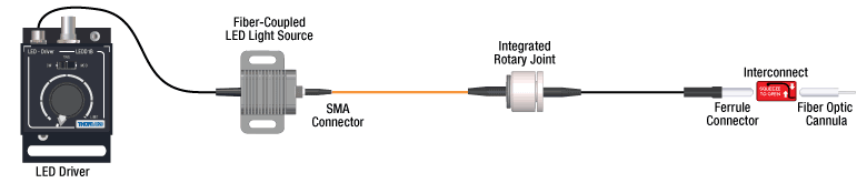 Optogenetics System Schematic