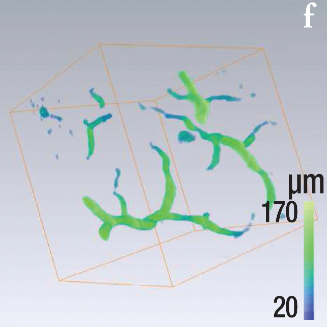 Figure 2f