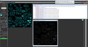 Open Acquired Images Directly in Fiji/ImageJ or MATLAB