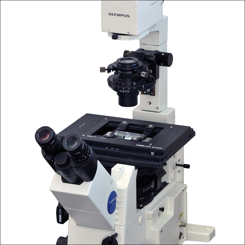 High-Speed Motorized XY Scanning Stages