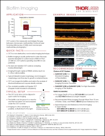 Biofilm OCT