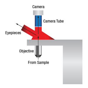 Widefield Viewing Optical Path