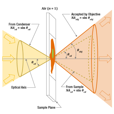 Numerical aperture (NA) of light output by the condenser and accepted by the objective lens in a transmission light microscope.