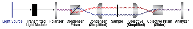 DIC Optical Schematic