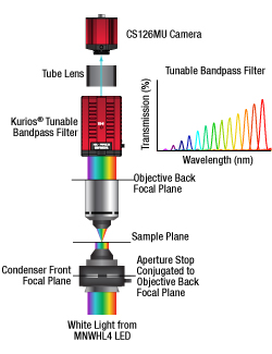 Hyperspectral Imaging with Cerna